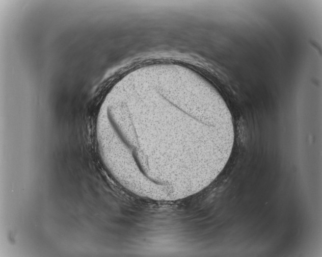 X0000102781494200809151051