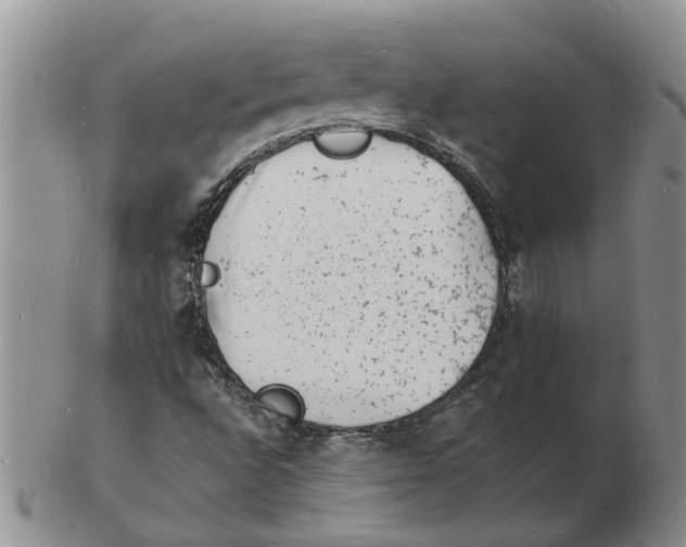 X0000102781496200809151051