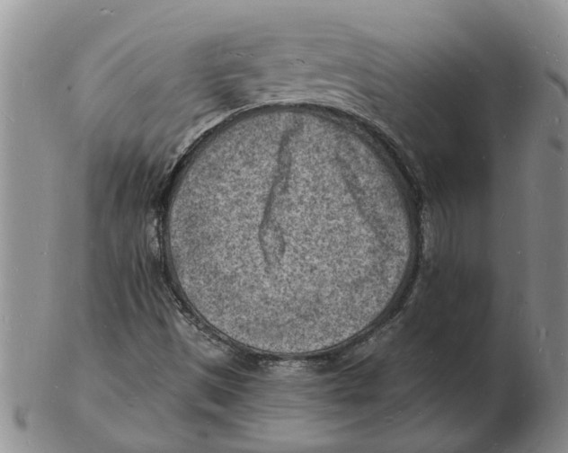 X0000102781497200809151051