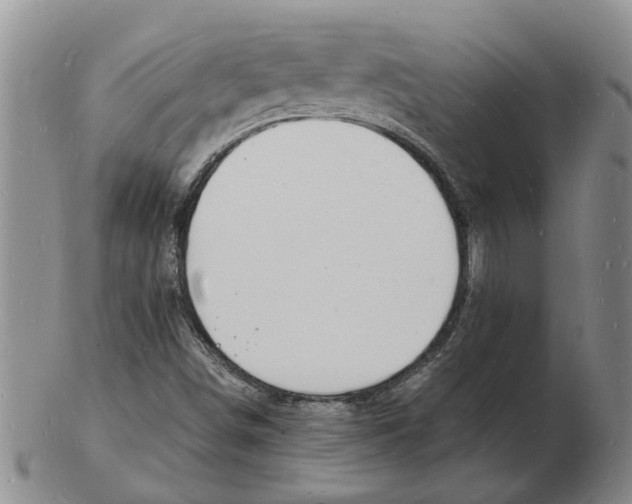 X0000102781498200809151051