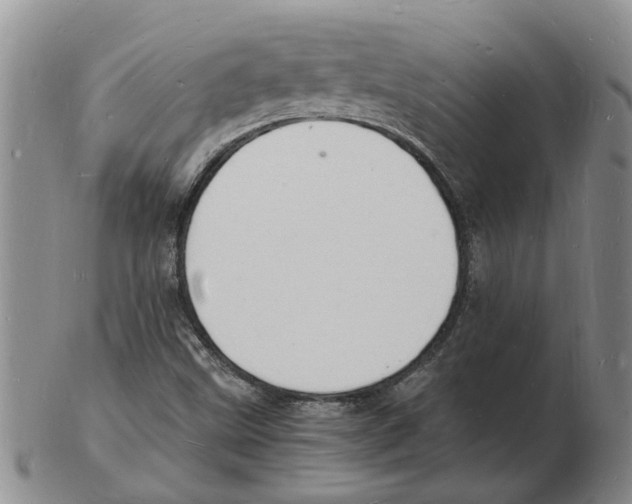 X0000102781499200809151051