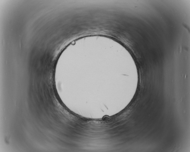 X0000102781500200809151051