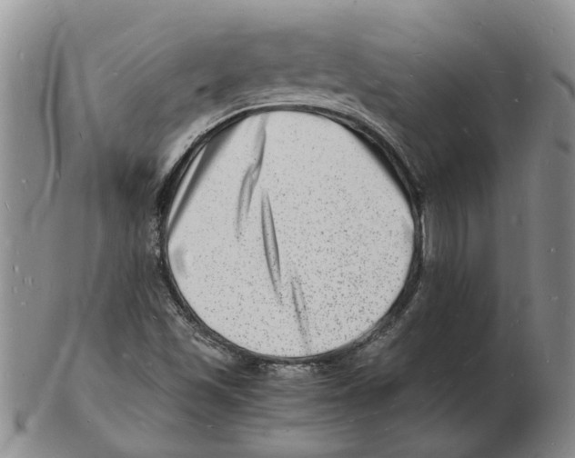 X0000102781501200809151051