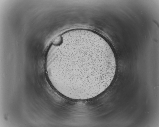 X0000102781504200809151051