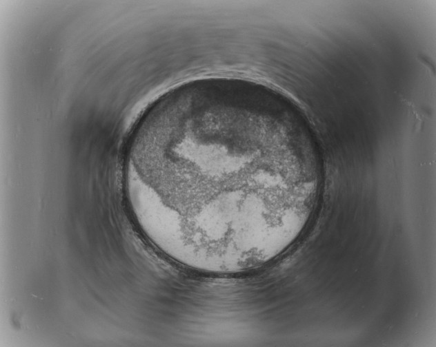 X0000102781506200809151051