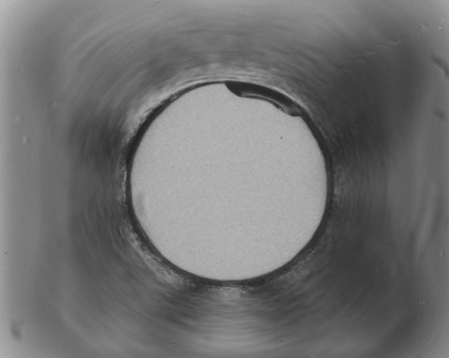 X0000102781507200809151051