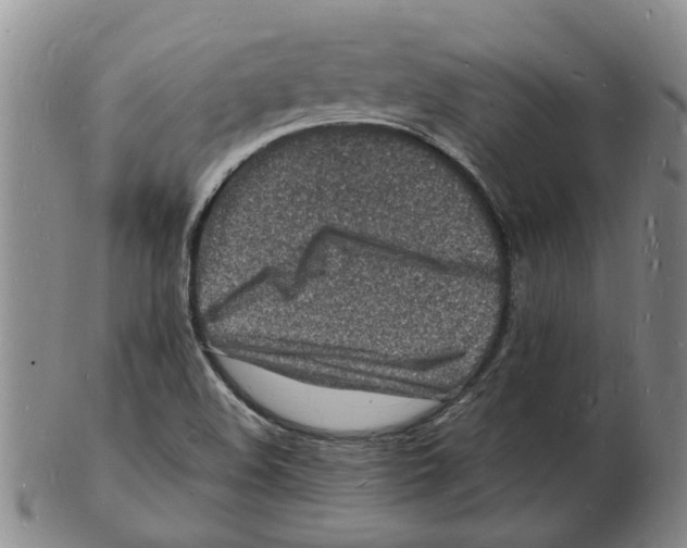 X0000102781508200809151051