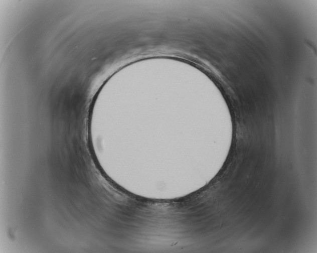 X0000102781512200809151051