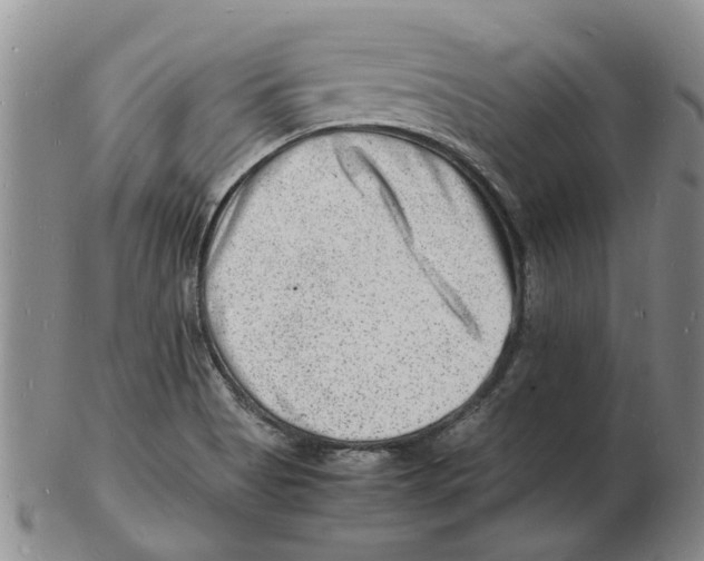 X0000102781513200809151051