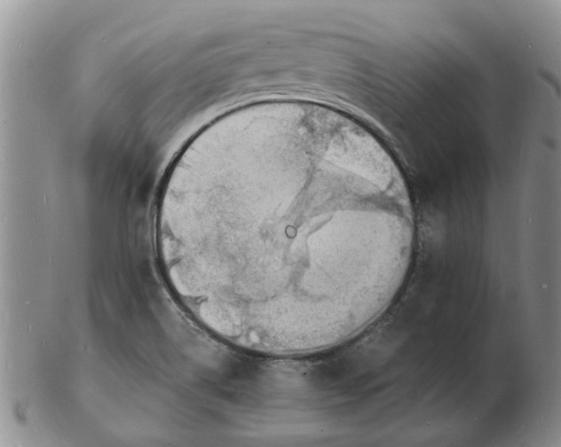 X0000102781514200809151051