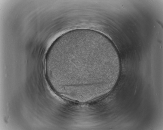 X0000102781515200809151051