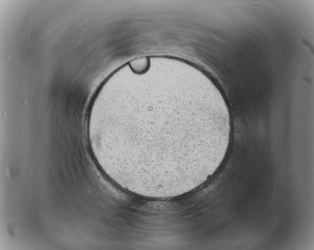 X0000102781517200809151051