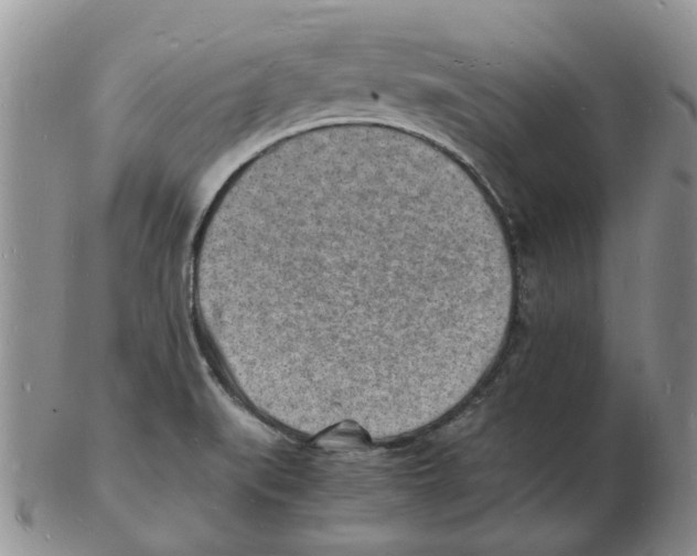 X0000102781519200809151051