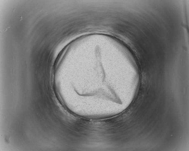 X0000102781520200809151051