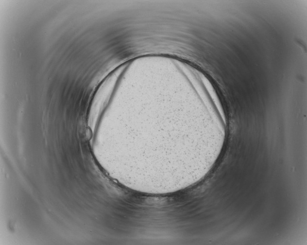 X0000102781521200809151051