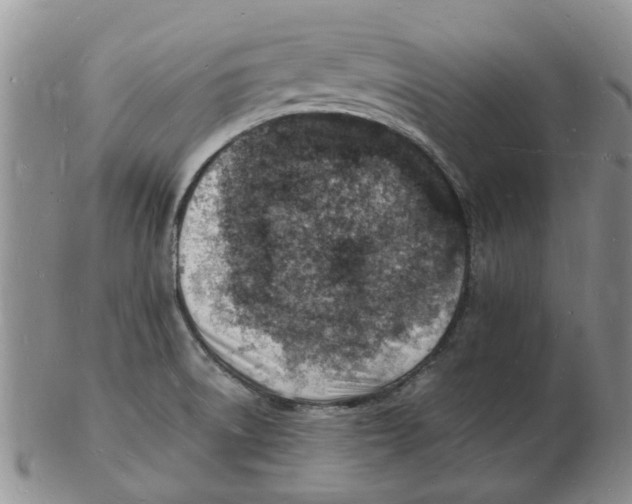 X0000102781522200809151051