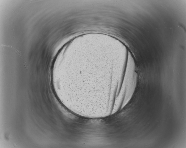 X0000102781523200809151051