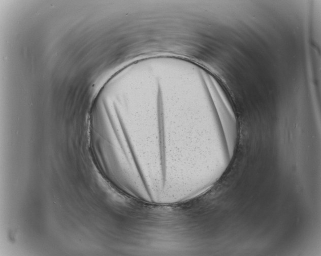 X0000102781524200809151051