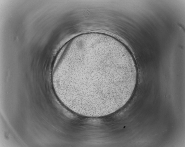 X0000102781525200809151051