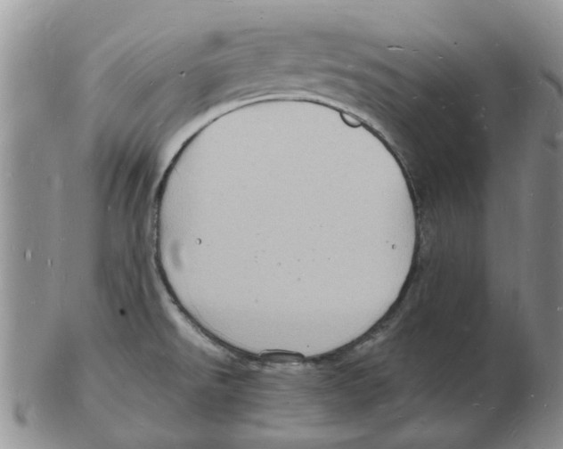 X0000102781526200809151051