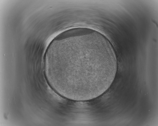 X0000102781527200809151051