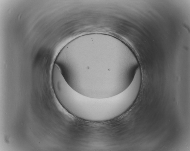 X0000102781528200809151051