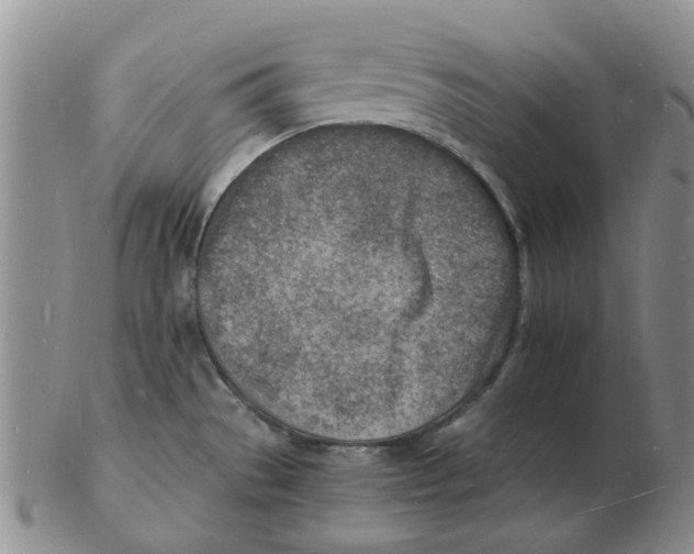 X0000102781529200809151051