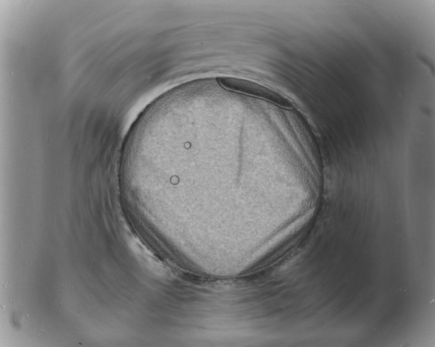 X0000102781530200809151051