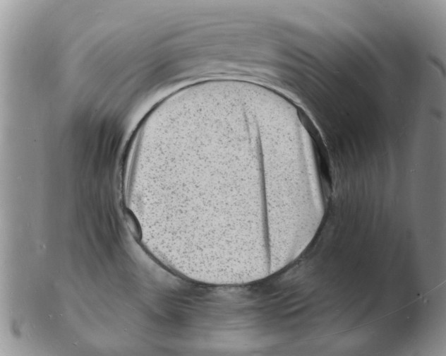 X0000102781531200809151051