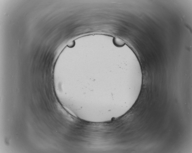 X0000102781532200809151051