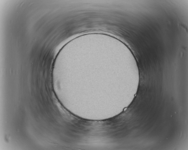 X0000102781534200809151051