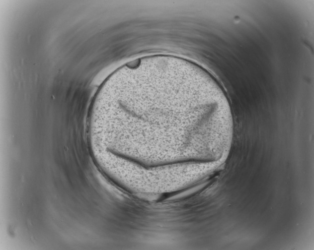 X0000102781535200809151051