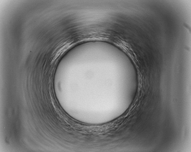 X0000102790001200808181004
