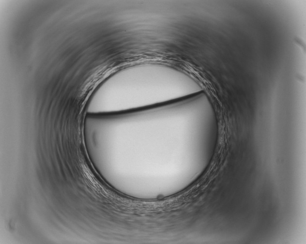 X0000102790002200808181004