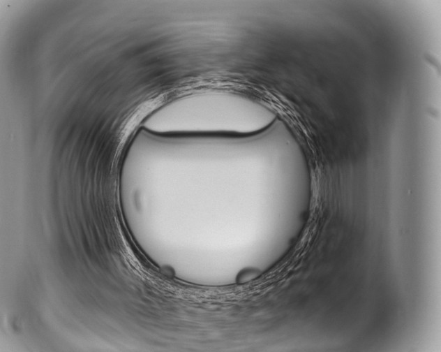 X0000102790003200808181004