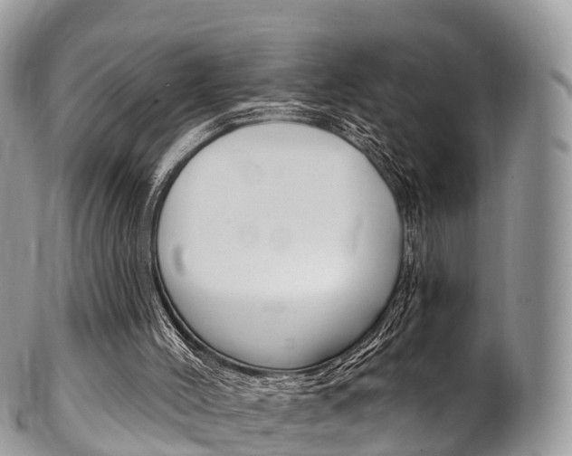 X0000102790004200808181004