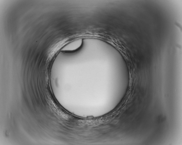 X0000102790005200808181004