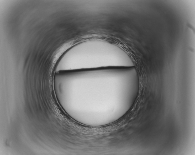 X0000102790006200808181004
