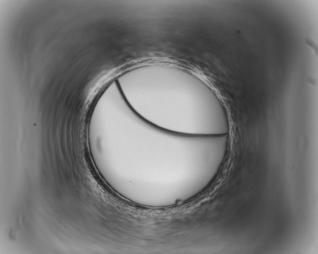 X0000102790007200808181004