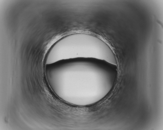 X0000102790008200808181004