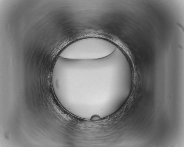 X0000102790009200808181004