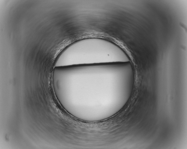 X0000102790010200808181004