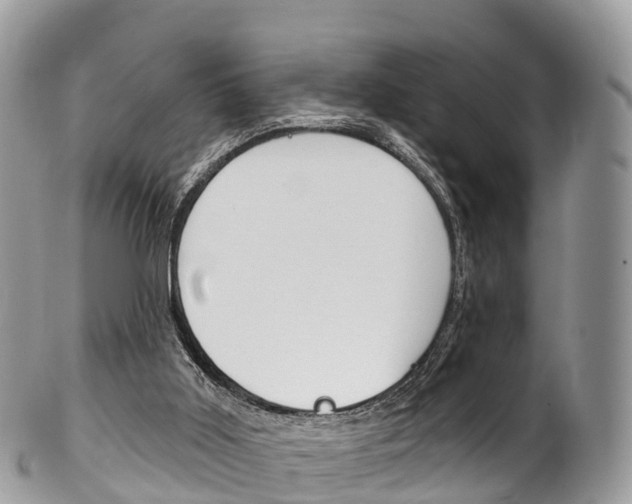 X0000102790011200808181004