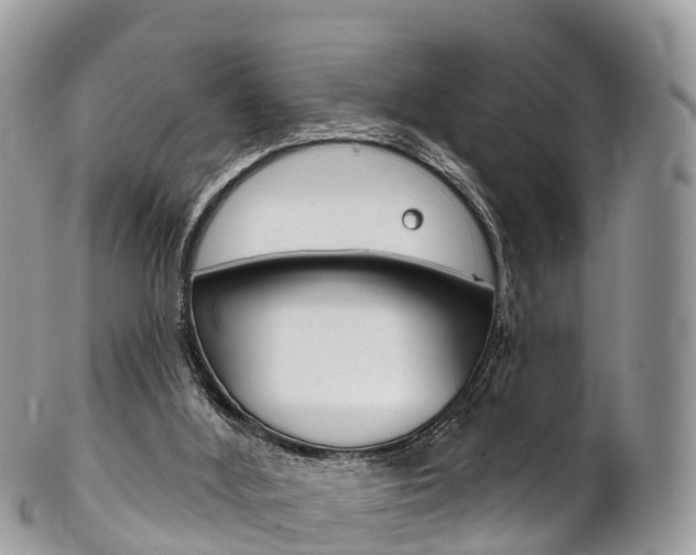 X0000102790012200808181004