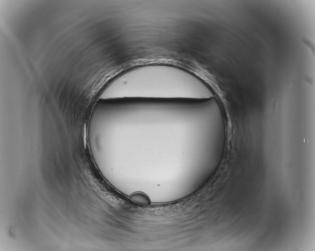 X0000102790013200808181004
