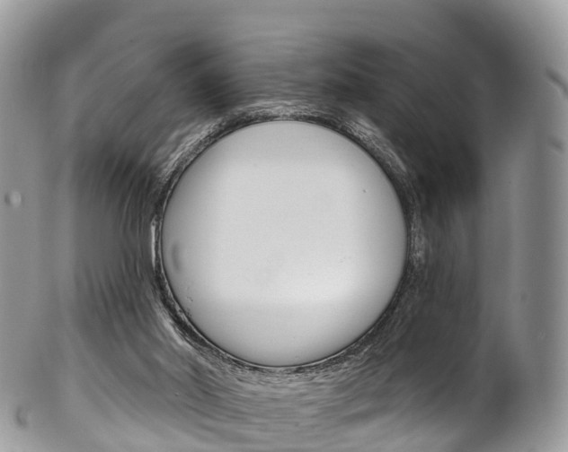 X0000102790014200808181004