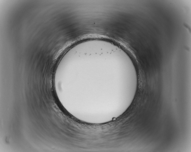 X0000102790015200808181004