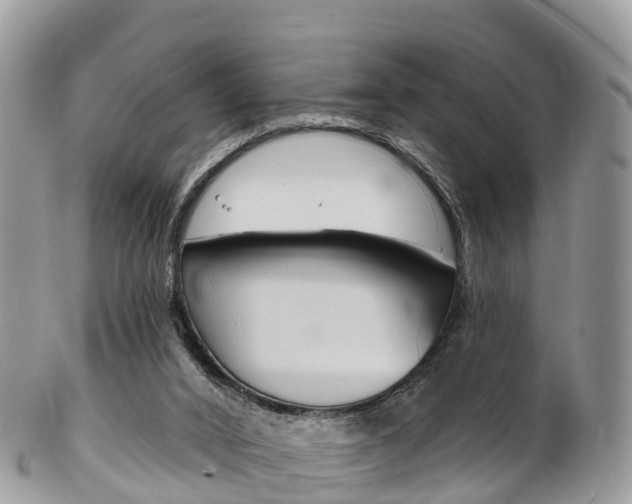 X0000102790016200808181004