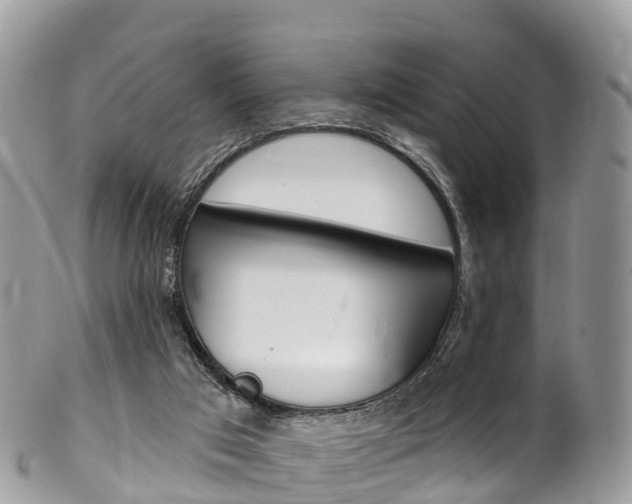 X0000102790017200808181003