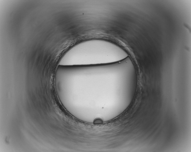 X0000102790018200808181003